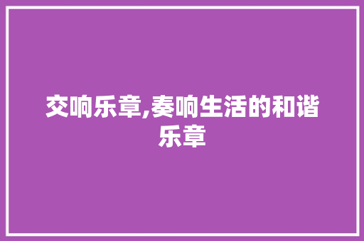 交响乐章,奏响生活的和谐乐章