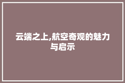 云端之上,航空奇观的魅力与启示