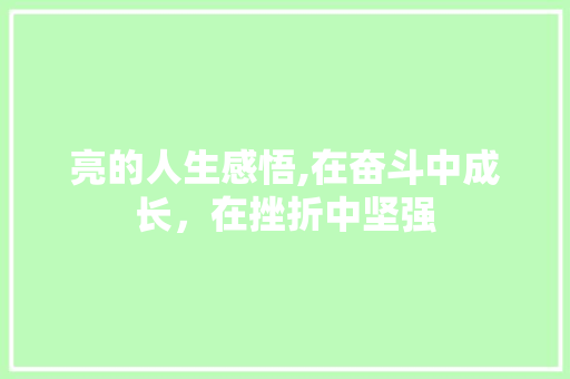 亮的人生感悟,在奋斗中成长，在挫折中坚强