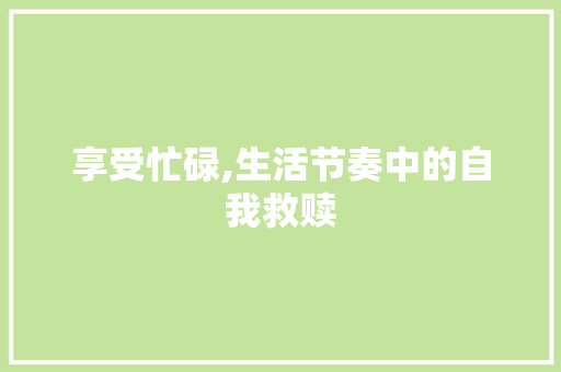 享受忙碌,生活节奏中的自我救赎