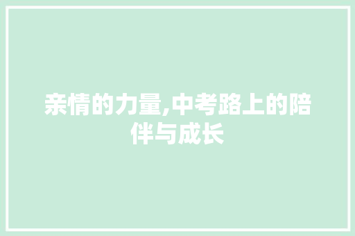 亲情的力量,中考路上的陪伴与成长