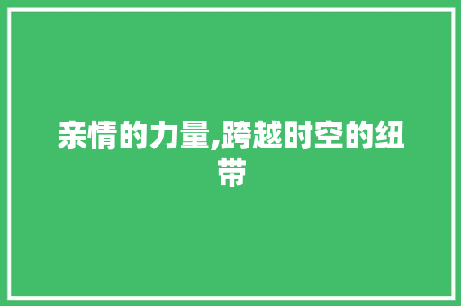 亲情的力量,跨越时空的纽带