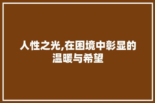 人性之光,在困境中彰显的温暖与希望