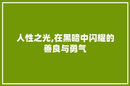 人性之光,在黑暗中闪耀的善良与勇气