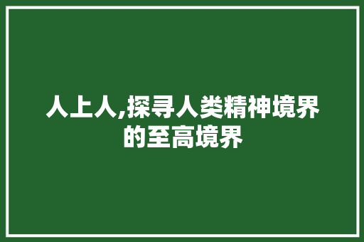 人上人,探寻人类精神境界的至高境界