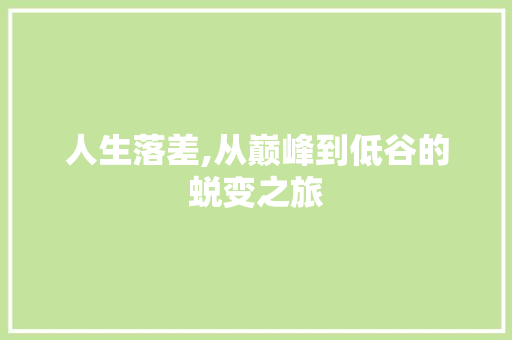 人生落差,从巅峰到低谷的蜕变之旅