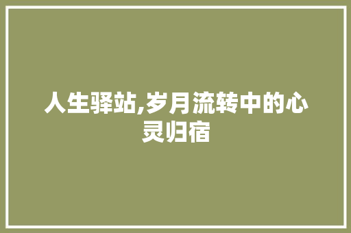 人生驿站,岁月流转中的心灵归宿