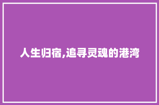 人生归宿,追寻灵魂的港湾