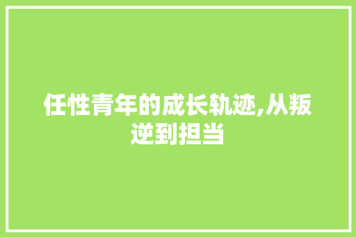 任性青年的成长轨迹,从叛逆到担当