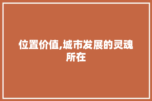 位置价值,城市发展的灵魂所在