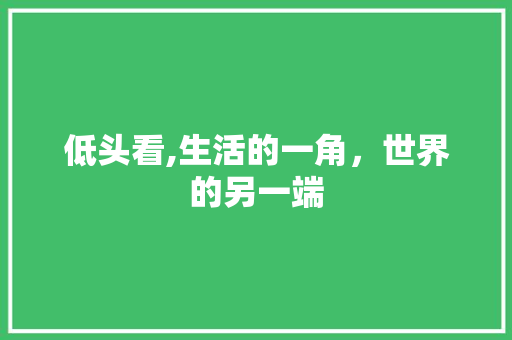 低头看,生活的一角，世界的另一端