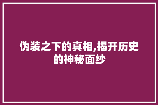 伪装之下的真相,揭开历史的神秘面纱