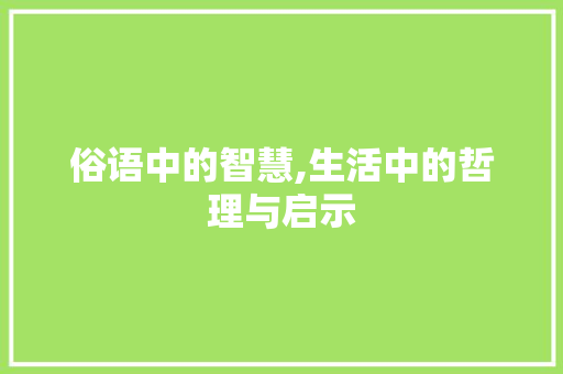 俗语中的智慧,生活中的哲理与启示