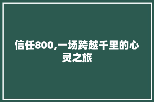 信任800,一场跨越千里的心灵之旅 演讲稿范文