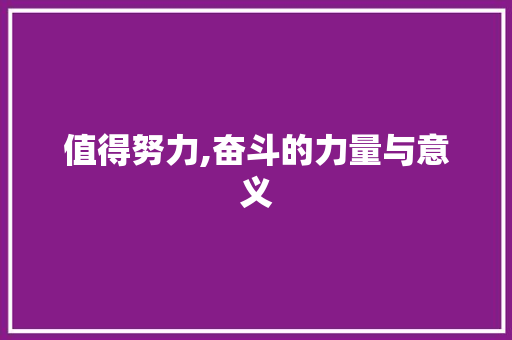 值得努力,奋斗的力量与意义