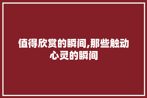 值得欣赏的瞬间,那些触动心灵的瞬间