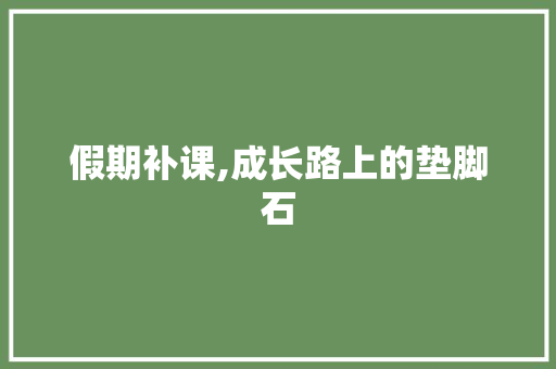 假期补课,成长路上的垫脚石