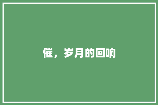 催，岁月的回响