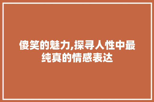 傻笑的魅力,探寻人性中最纯真的情感表达