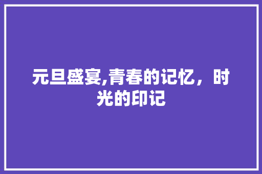 元旦盛宴,青春的记忆，时光的印记