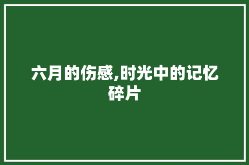 六月的伤感,时光中的记忆碎片