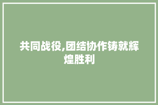 共同战役,团结协作铸就辉煌胜利