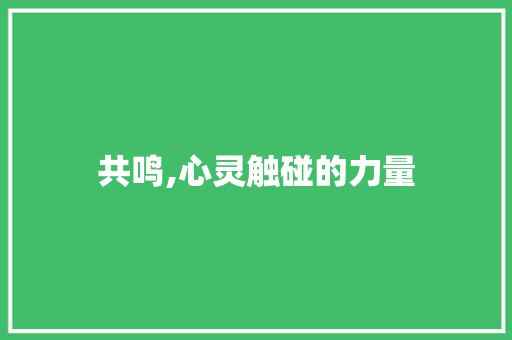 共鸣,心灵触碰的力量