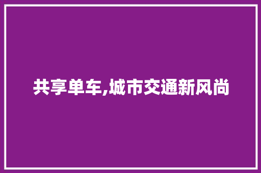 共享单车,城市交通新风尚