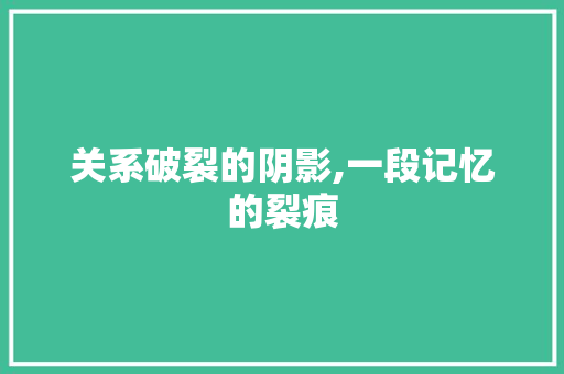 关系破裂的阴影,一段记忆的裂痕