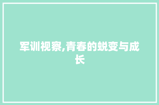 军训视察,青春的蜕变与成长