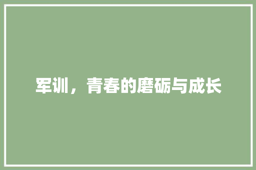 军训，青春的磨砺与成长