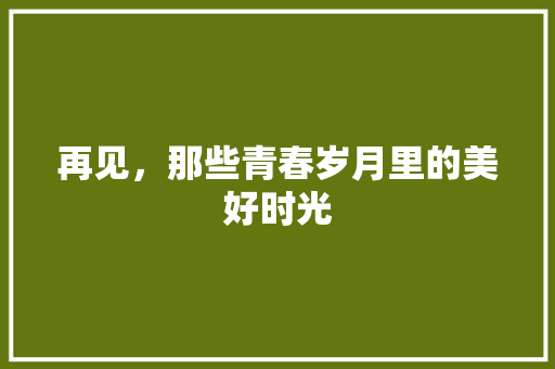 再见，那些青春岁月里的美好时光