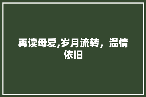 再读母爱,岁月流转，温情依旧