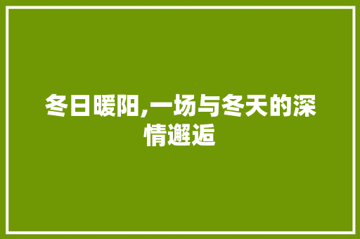 冬日暖阳,一场与冬天的深情邂逅