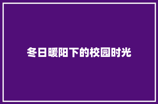 冬日暖阳下的校园时光