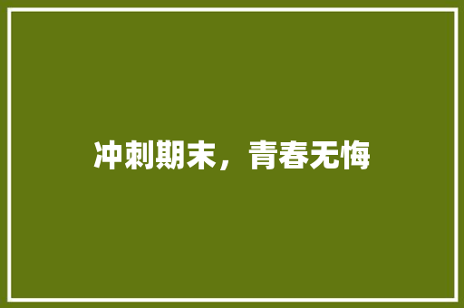 冲刺期末，青春无悔