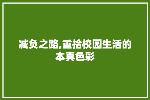 减负之路,重拾校园生活的本真色彩