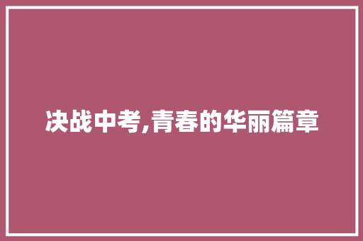 决战中考,青春的华丽篇章