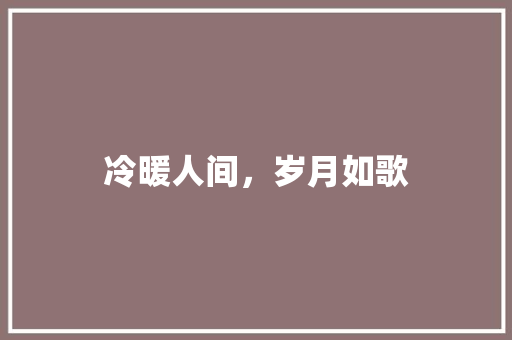 冷暖人间，岁月如歌