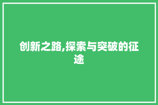 创新之路,探索与突破的征途