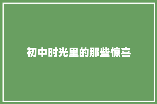 初中时光里的那些惊喜