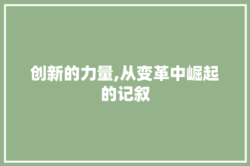 创新的力量,从变革中崛起的记叙