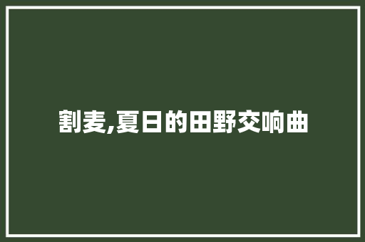 割麦,夏日的田野交响曲