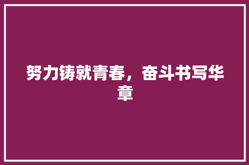 努力铸就青春，奋斗书写华章