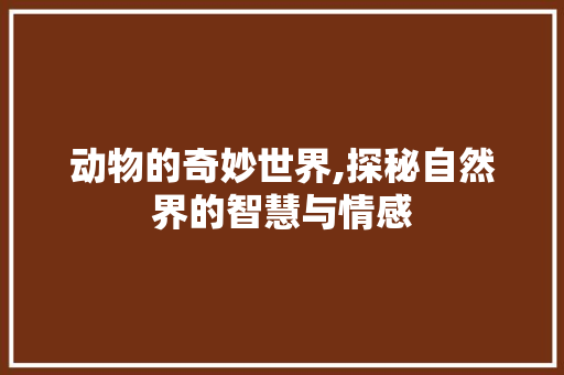 动物的奇妙世界,探秘自然界的智慧与情感