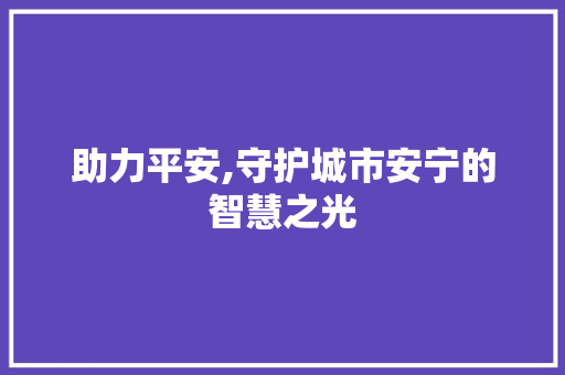 助力平安,守护城市安宁的智慧之光