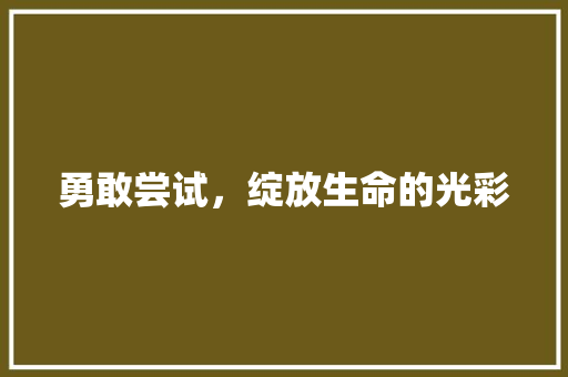 勇敢尝试，绽放生命的光彩