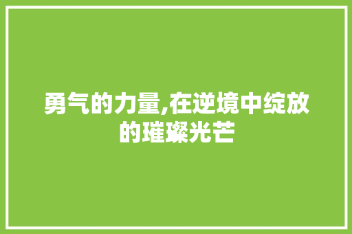 勇气的力量,在逆境中绽放的璀璨光芒