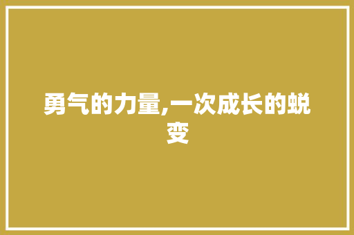 勇气的力量,一次成长的蜕变