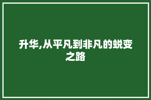 升华,从平凡到非凡的蜕变之路